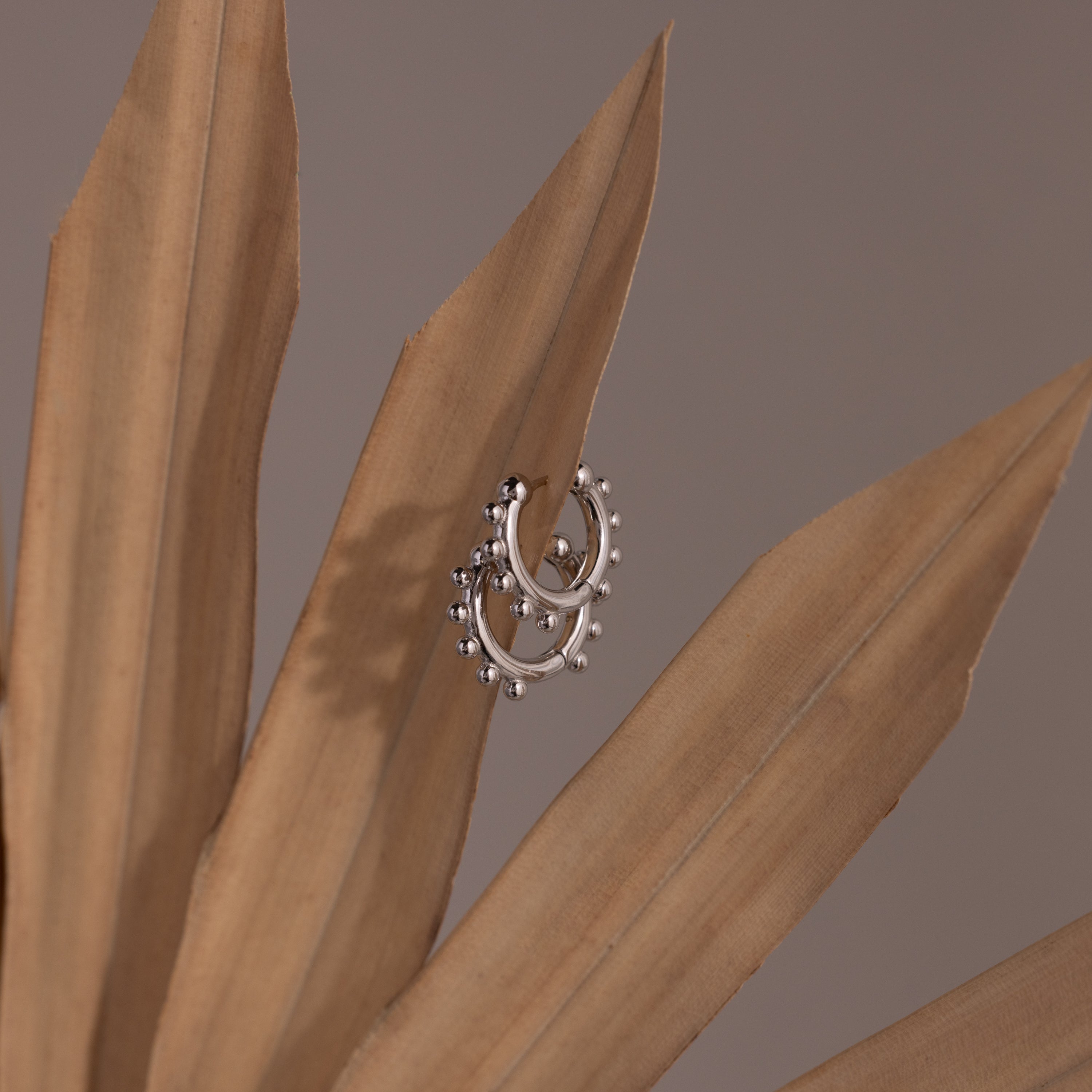 Beaded Hoops earrings, adorned with polished beads on silver hoops, are elegantly displayed on dried beige palm leaves against a muted background.