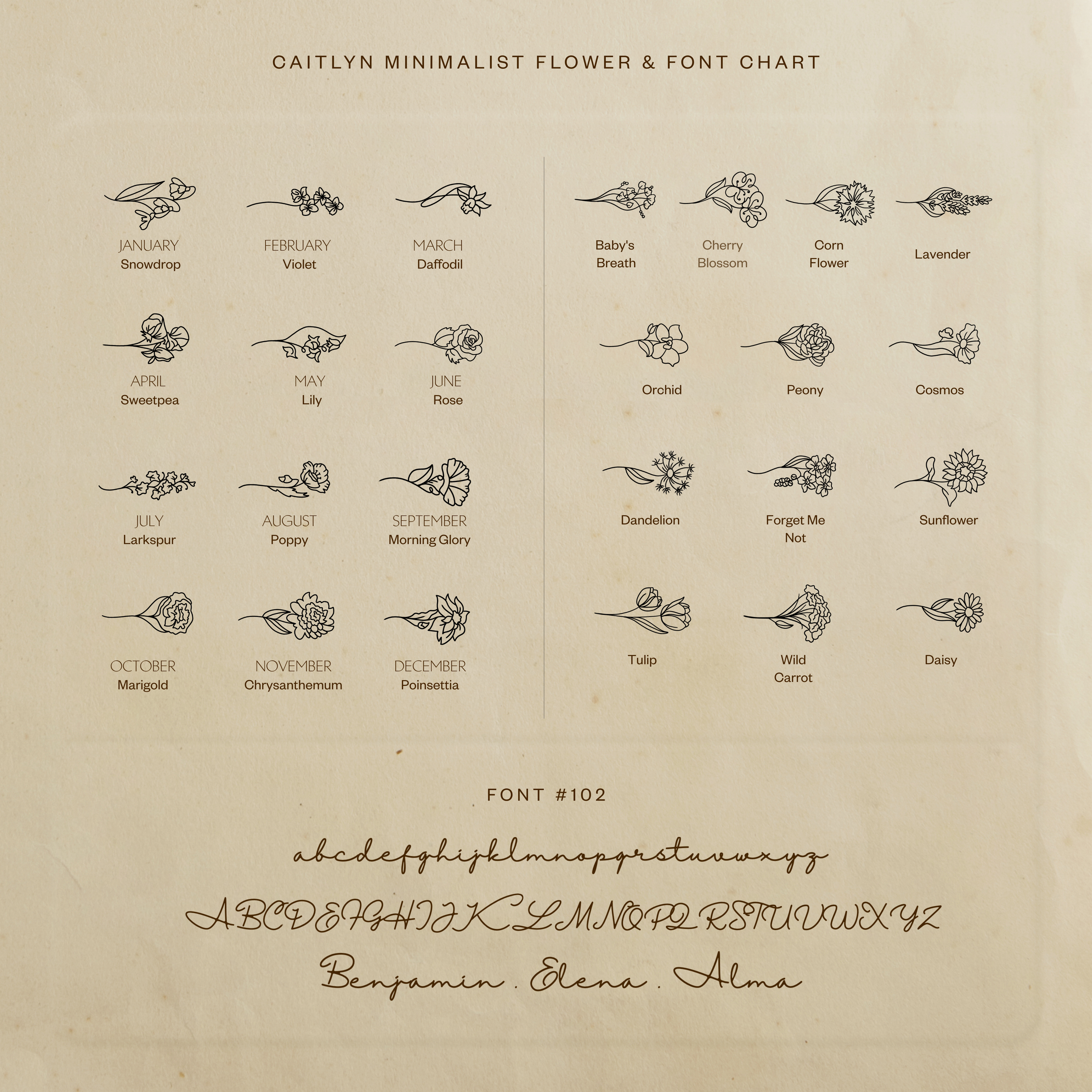 Birth Flower Name Ring