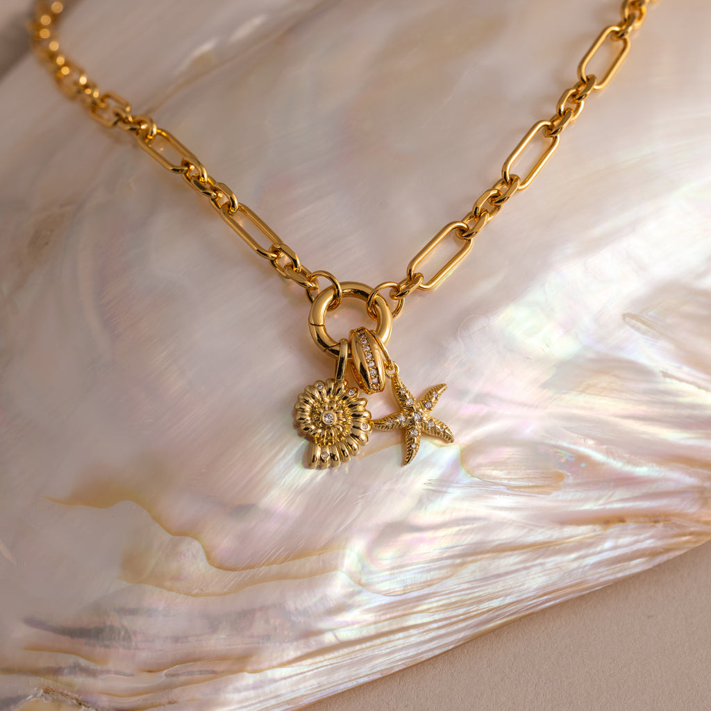 The Rolo Circle Figaro Necklace features daisy and starfish charms, displayed on a shimmering shell background for an elegant update to the classic link necklace.