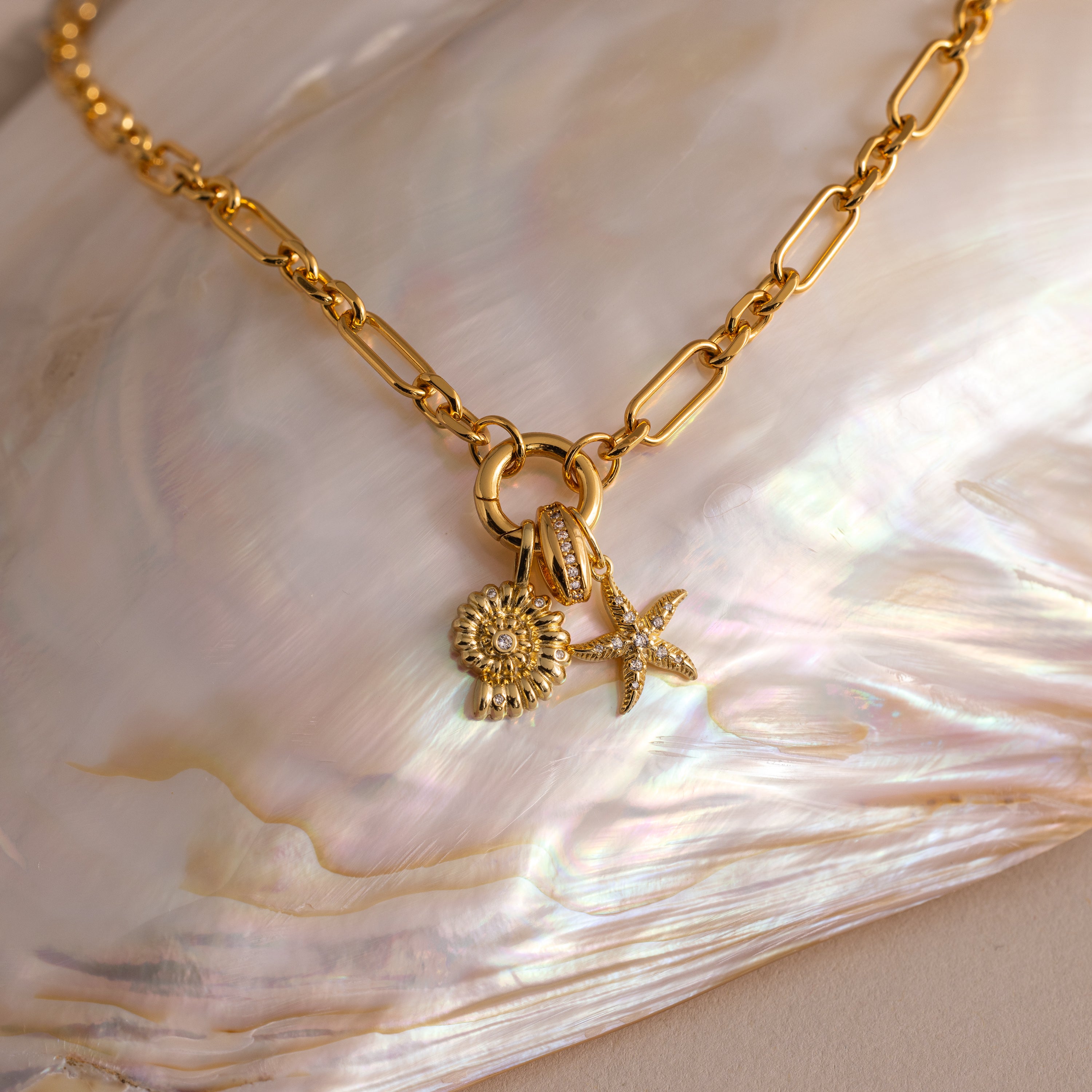 The Rolo Circle Figaro Necklace features daisy and starfish charms, displayed on a shimmering shell background for an elegant update to the classic link necklace.