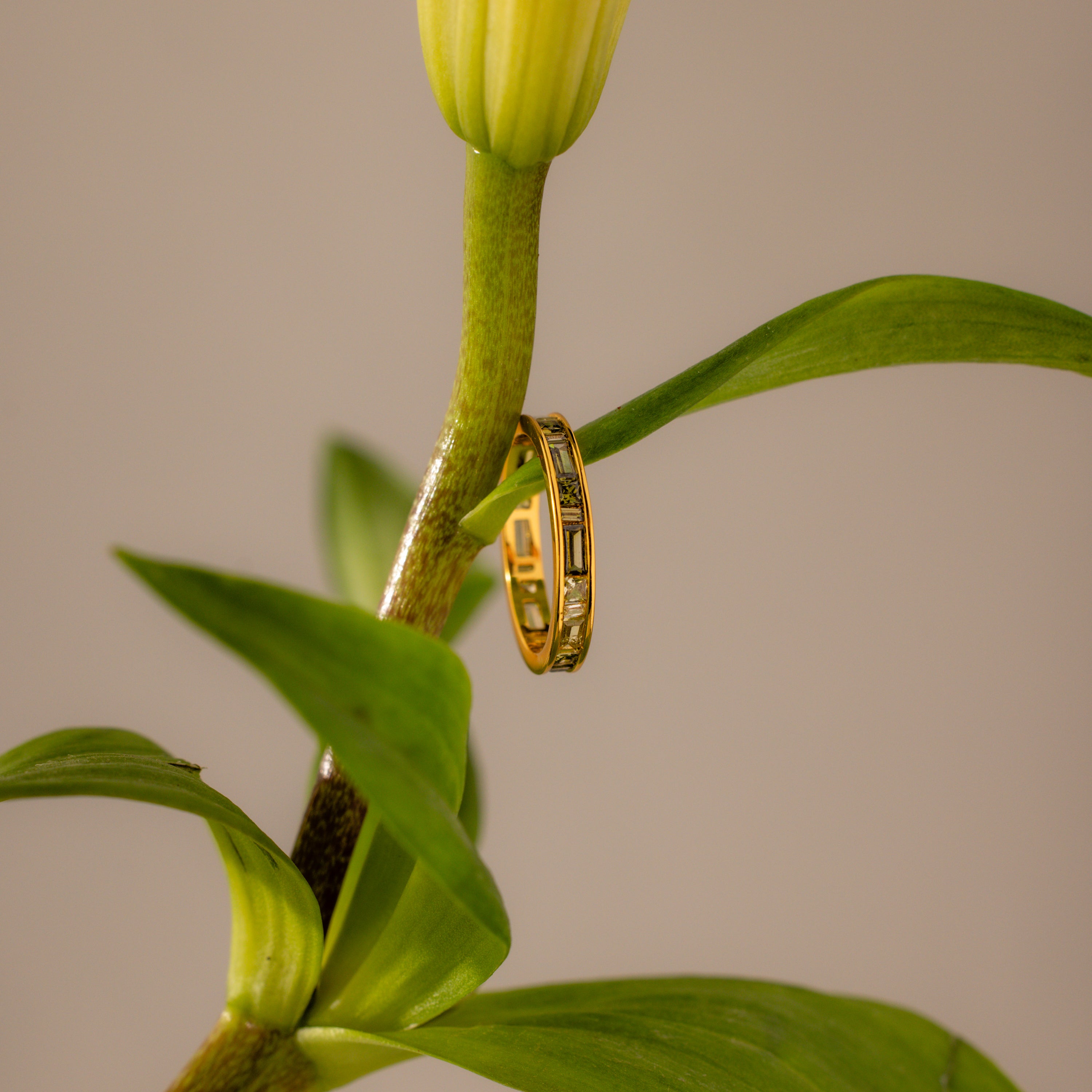 The Peridot Inlay Eternity Ring with rectangular gold green stones rests on the stem of a green plant topped with a yellow bud.