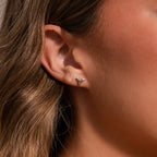 Shark Tooth Jewelry Set in Silver