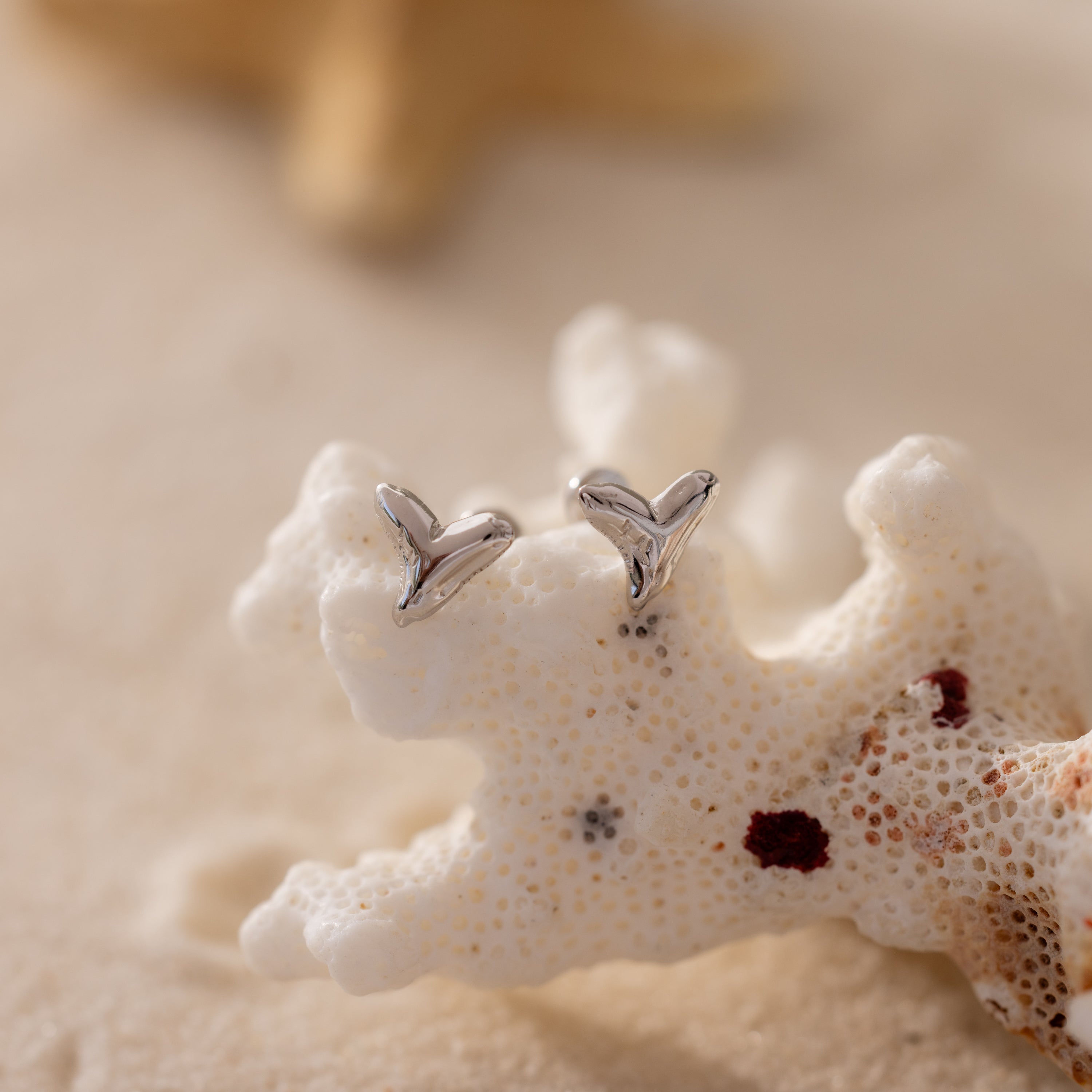 A pair of Shark Tooth Flatback Studs rest on white coral against a sandy background, making the perfect beach accessory for your summer style.