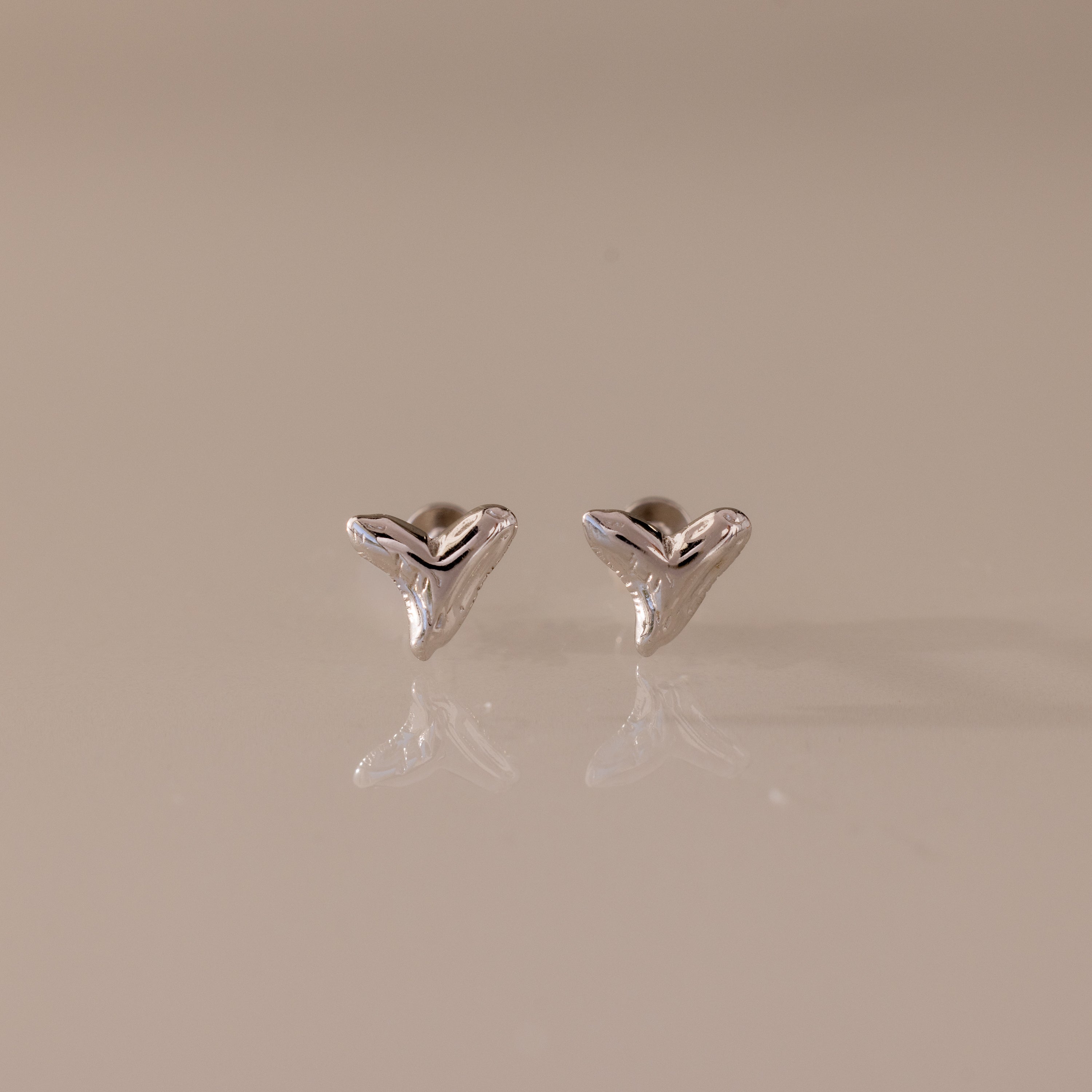 Pair of small, silver Shark Tooth Flatback Studs on a reflective light beige surface—an elegant beach accessory perfect for ocean lovers.