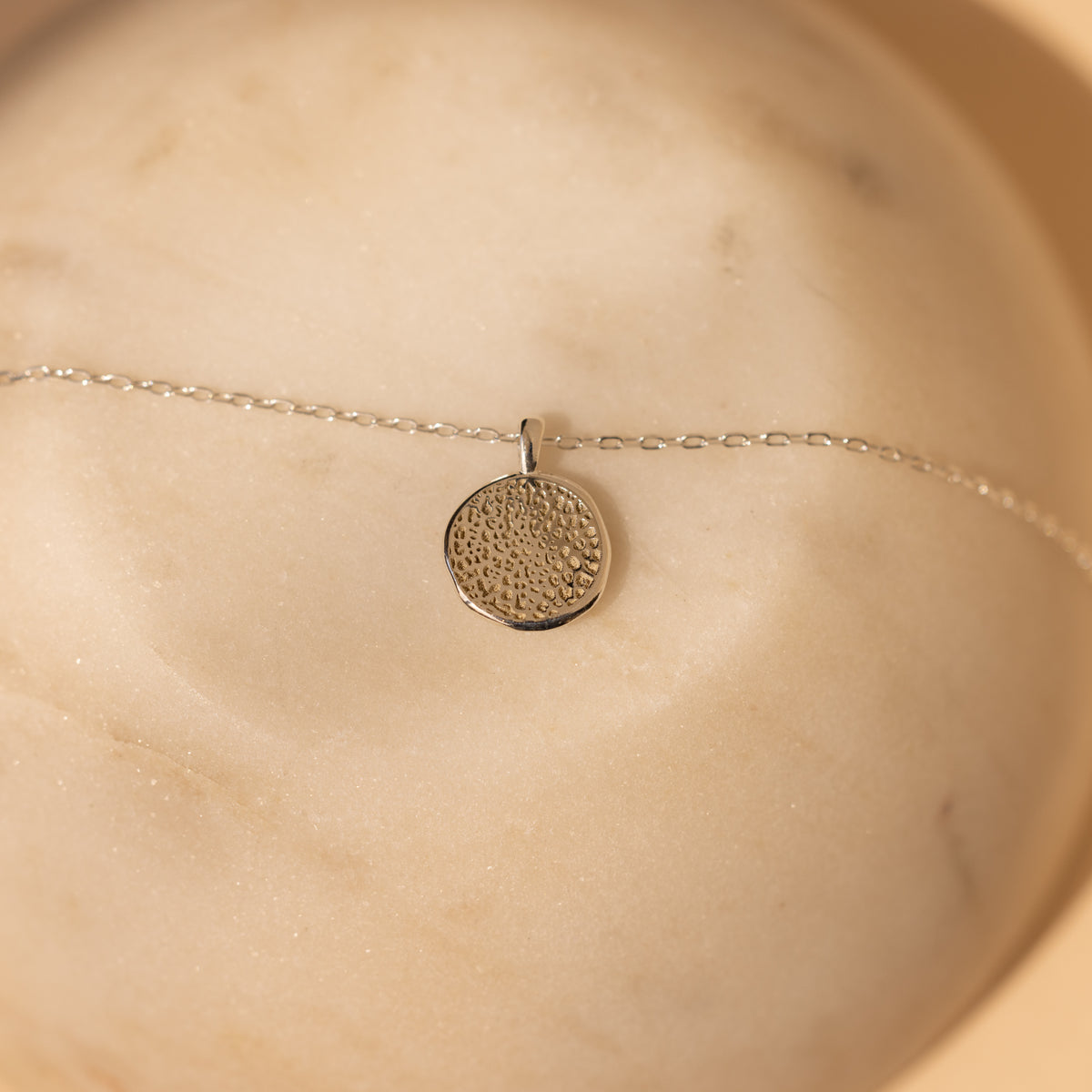 Collier avec pièce de monnaie et empreinte de patte