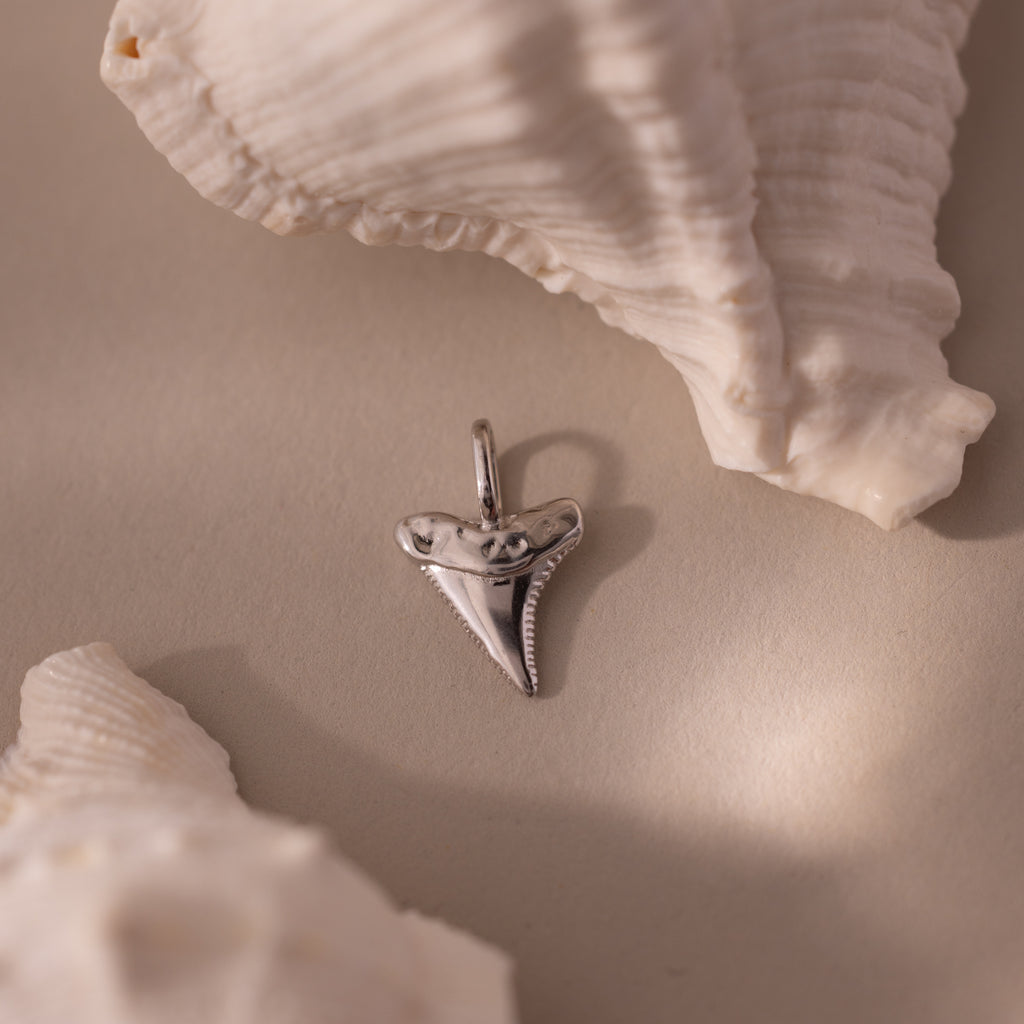 Silver shark tooth charm styled between white seashells on a neutral background, highlighting the charm’s detailed ridges and glossy texture.