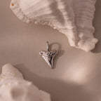 Silver shark tooth charm styled between white seashells on a neutral background, highlighting the charm’s detailed ridges and glossy texture.