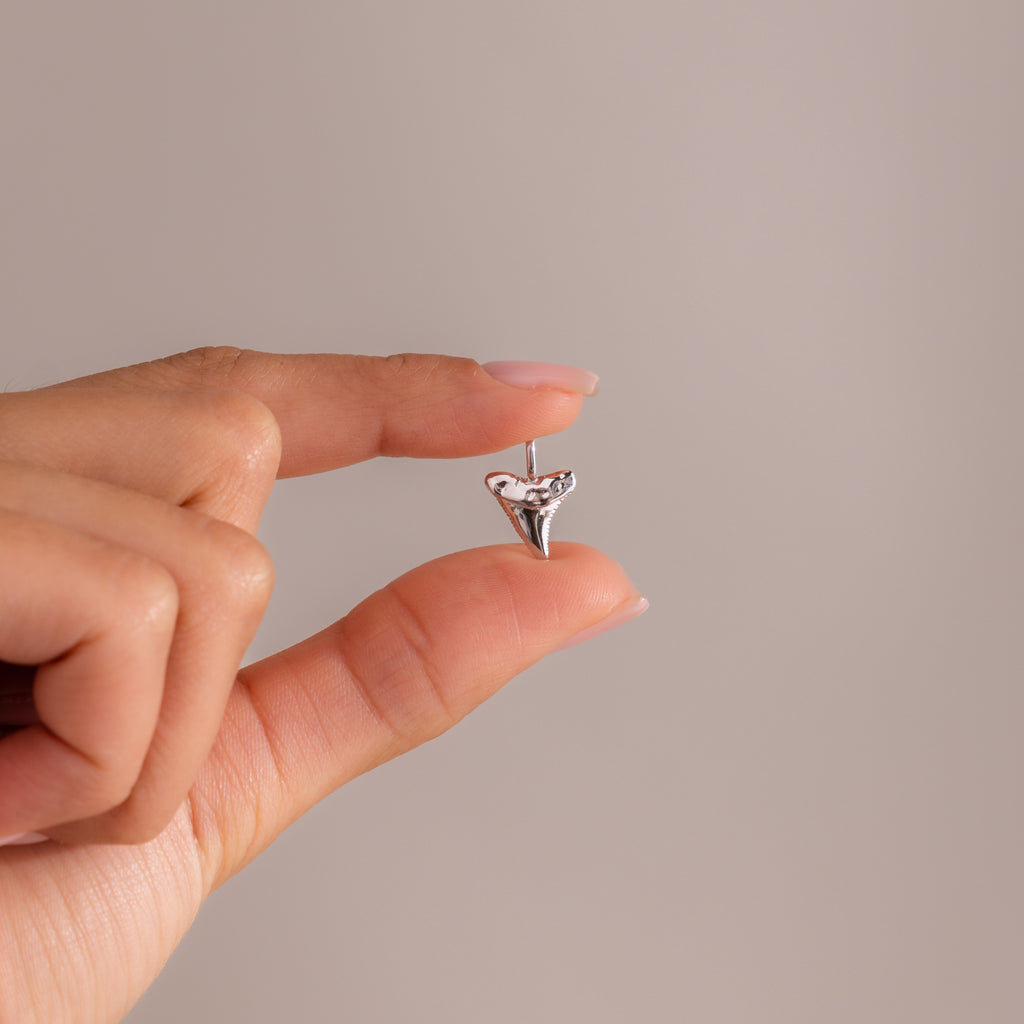 Close-up of a hand holding a silver shark tooth charm between the fingers, showing its petite size and polished finish.