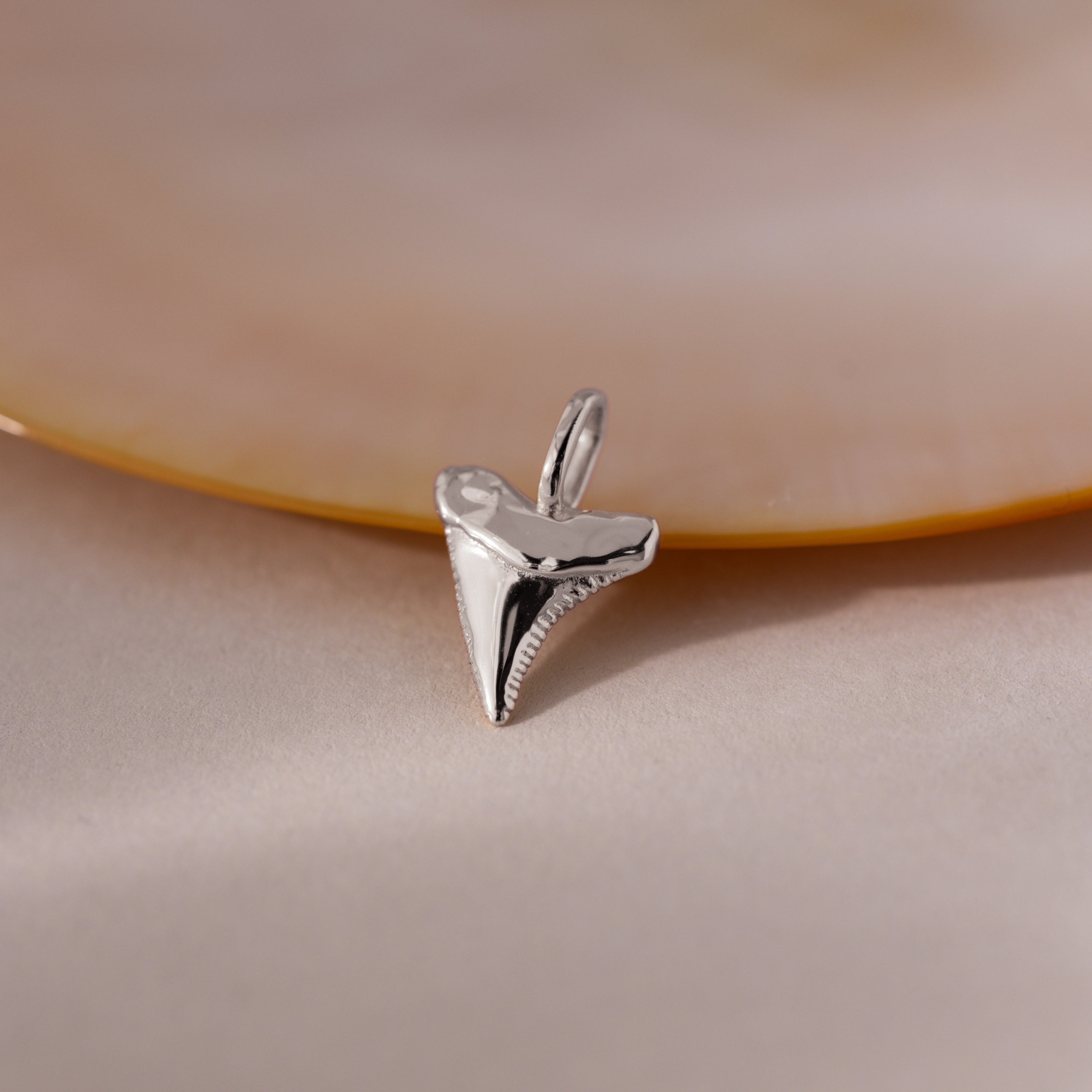 The Shark Tooth Charm in Sterling Silver sits on a smooth, light surface beside a beige shell—a sea-inspired jewelry accent.