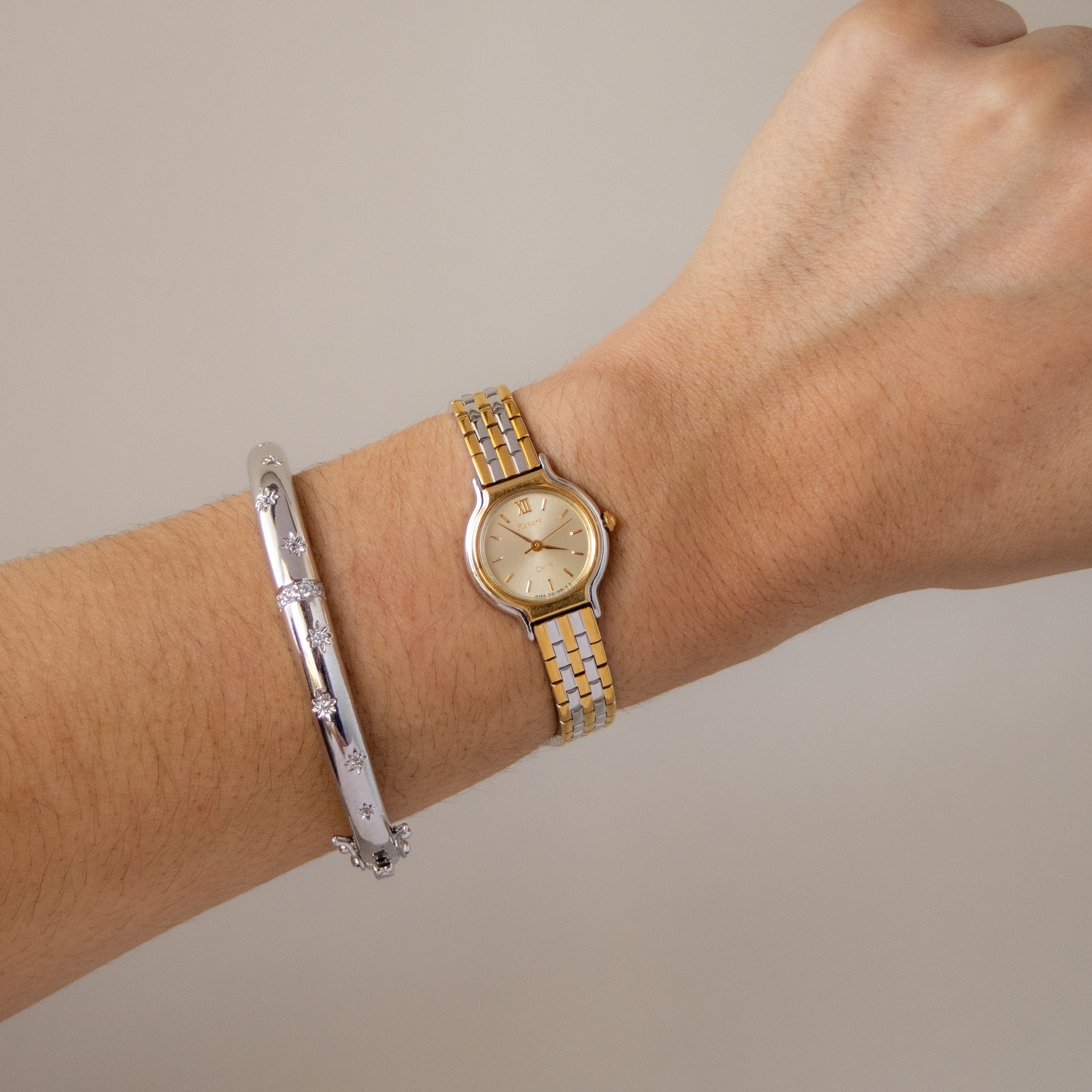 Vintage Plenary Round Two Tone Watch