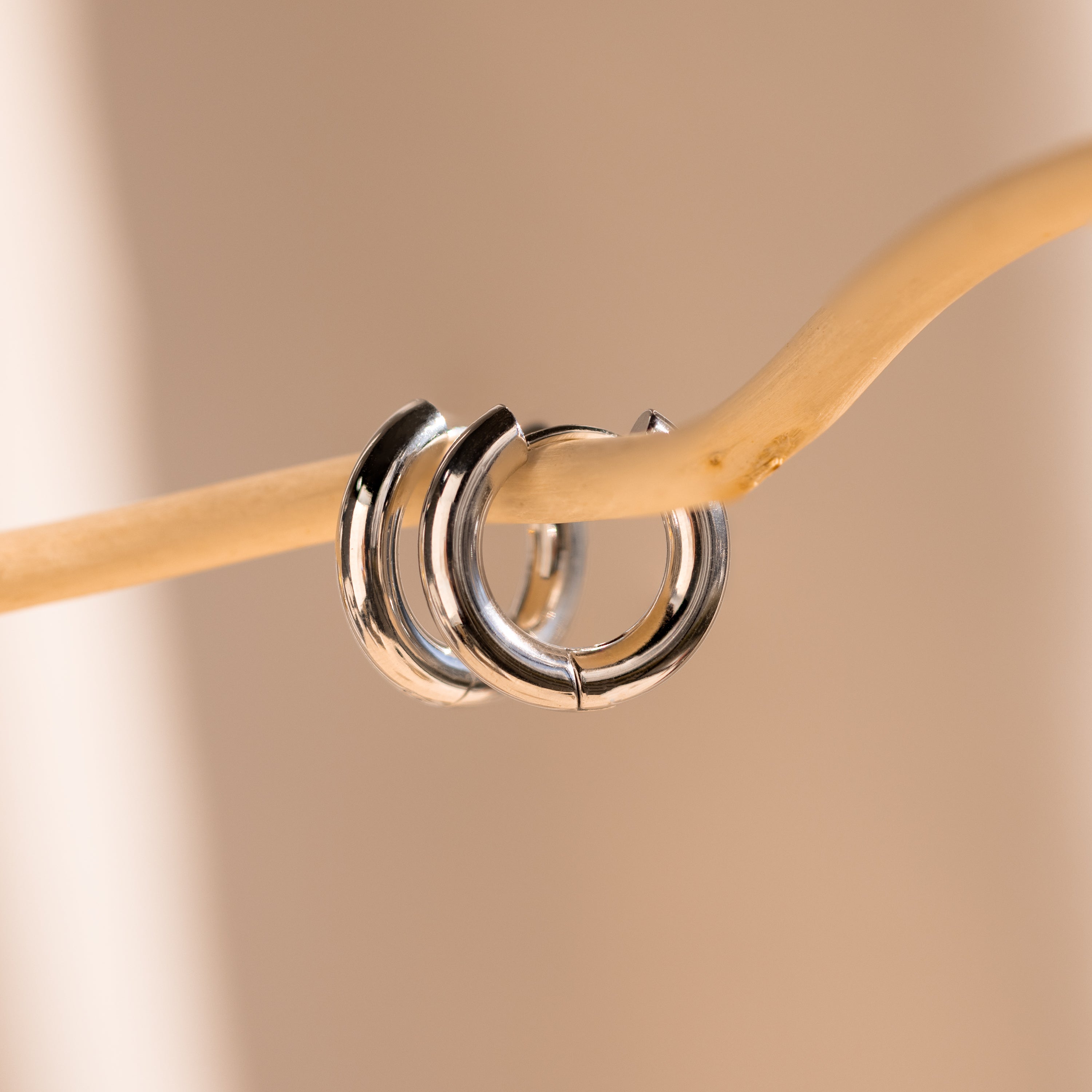 Two Mixed Metal Chunky Hoops earrings hang on a slender, light branch against a neutral backdrop.