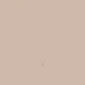 Solid Gold Classic Lab-Grown Diamond Prong Solitaire Necklace