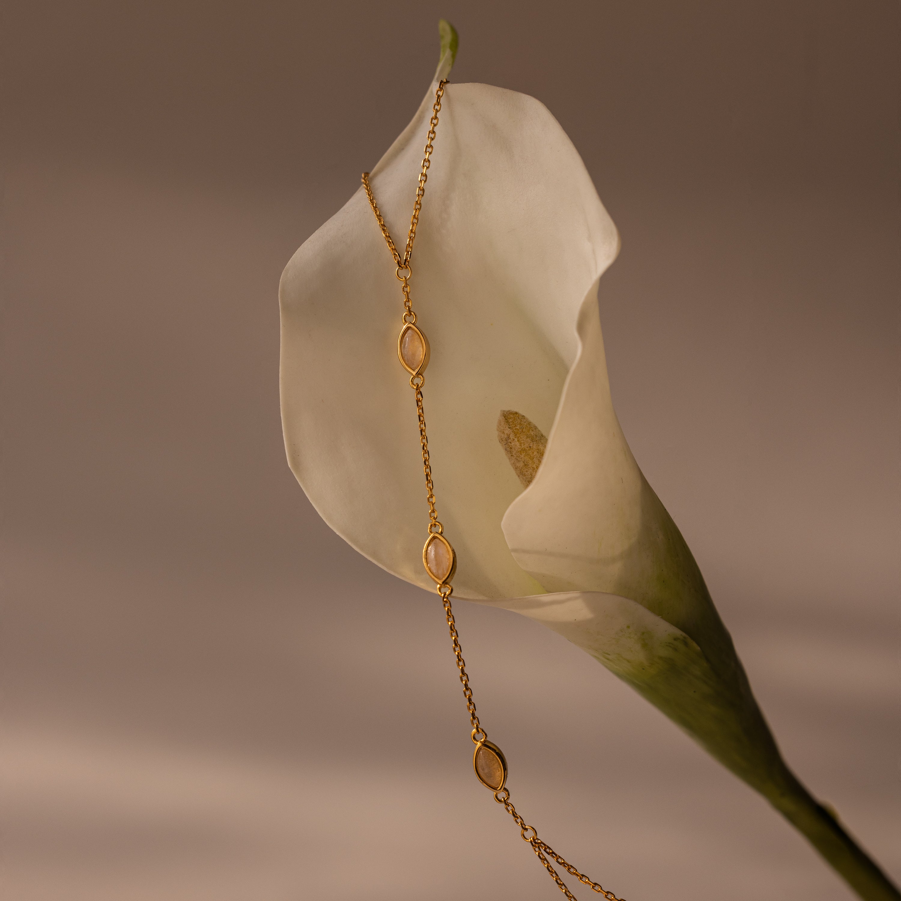 The Moonstone Hand Chain Bracelet in 18K Gold drapes elegantly over a white calla lily, creating a celestial jewelry display against a soft, neutral background.