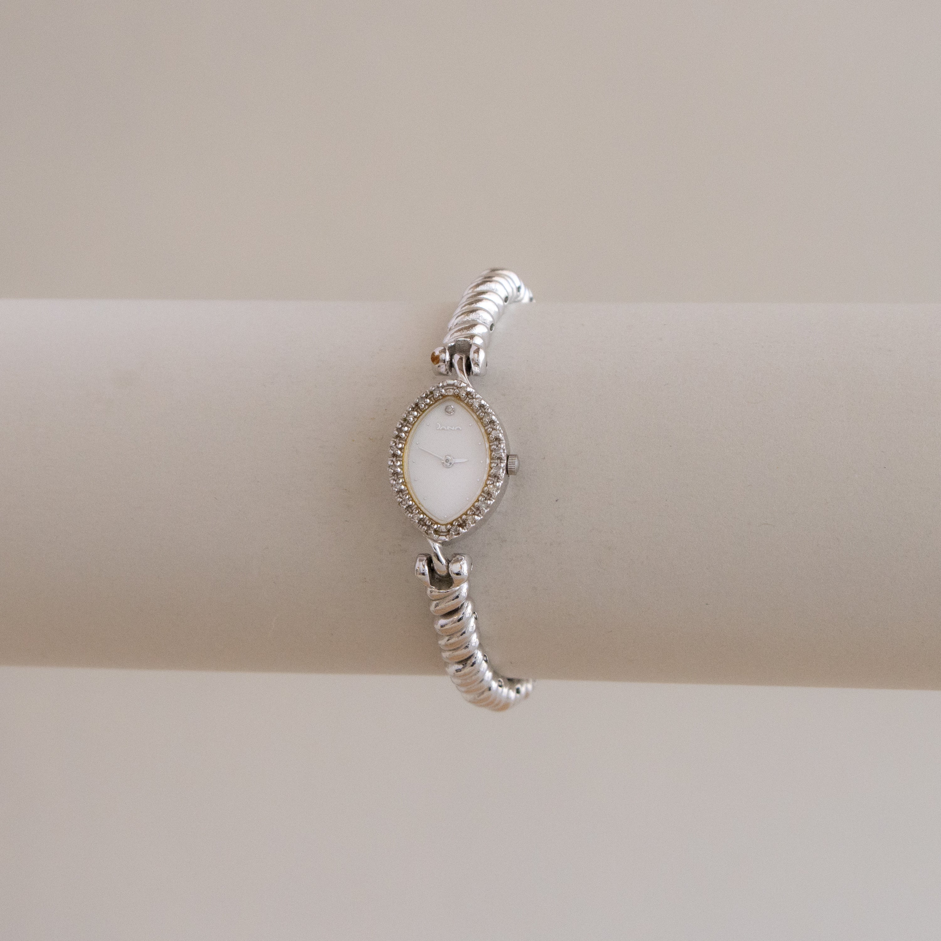 Rare Vintage Dana Pave Rope Silver Watch