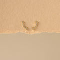 Diamond Smile Studs