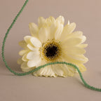 A pale yellow daisy stands in front of a Tiny Jade Choker Necklace, its green beads displayed on a neutral background.