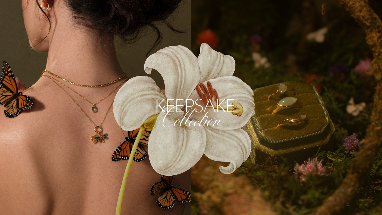 Lifestyle & Accessories