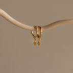 Two Ericka Birthstone Huggies in Peridot (August) hang from a curved, light-colored branch—elegant hoops with sparkling charms that add a vibrant touch to any style.