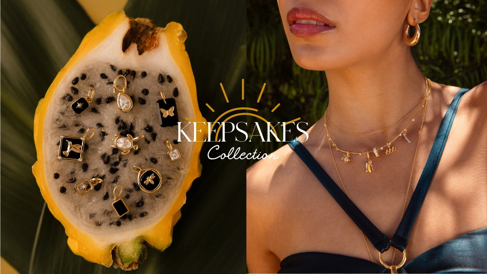 Lifestyle & Accessories