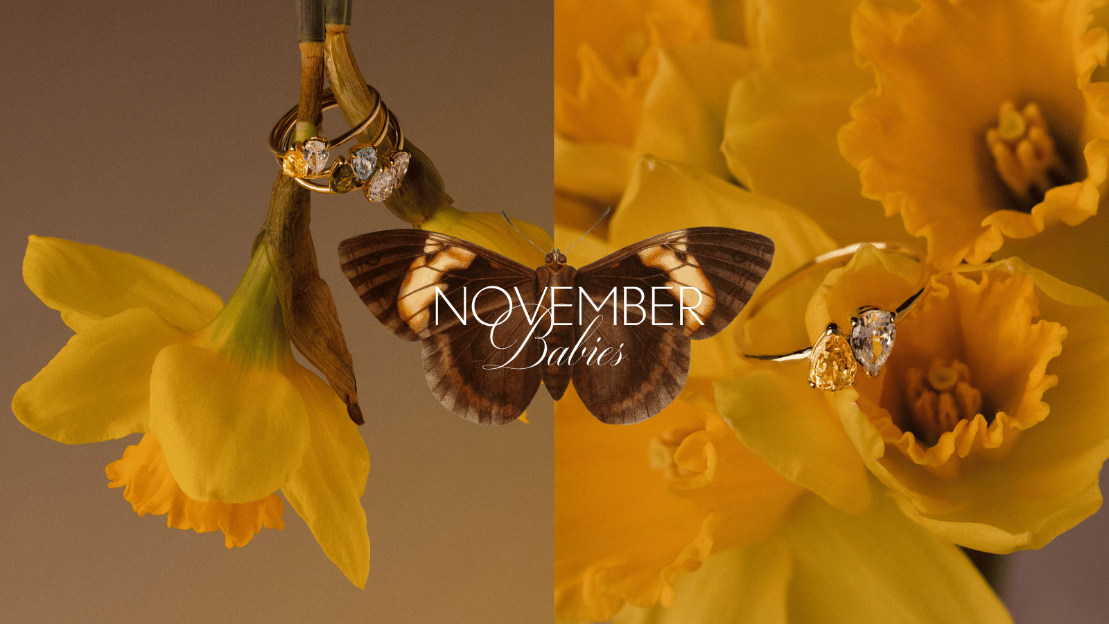 November Babies