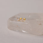 Butterfly Birthstone Flatback Studs in gold, featuring clear stones, displayed on a translucent crystal.