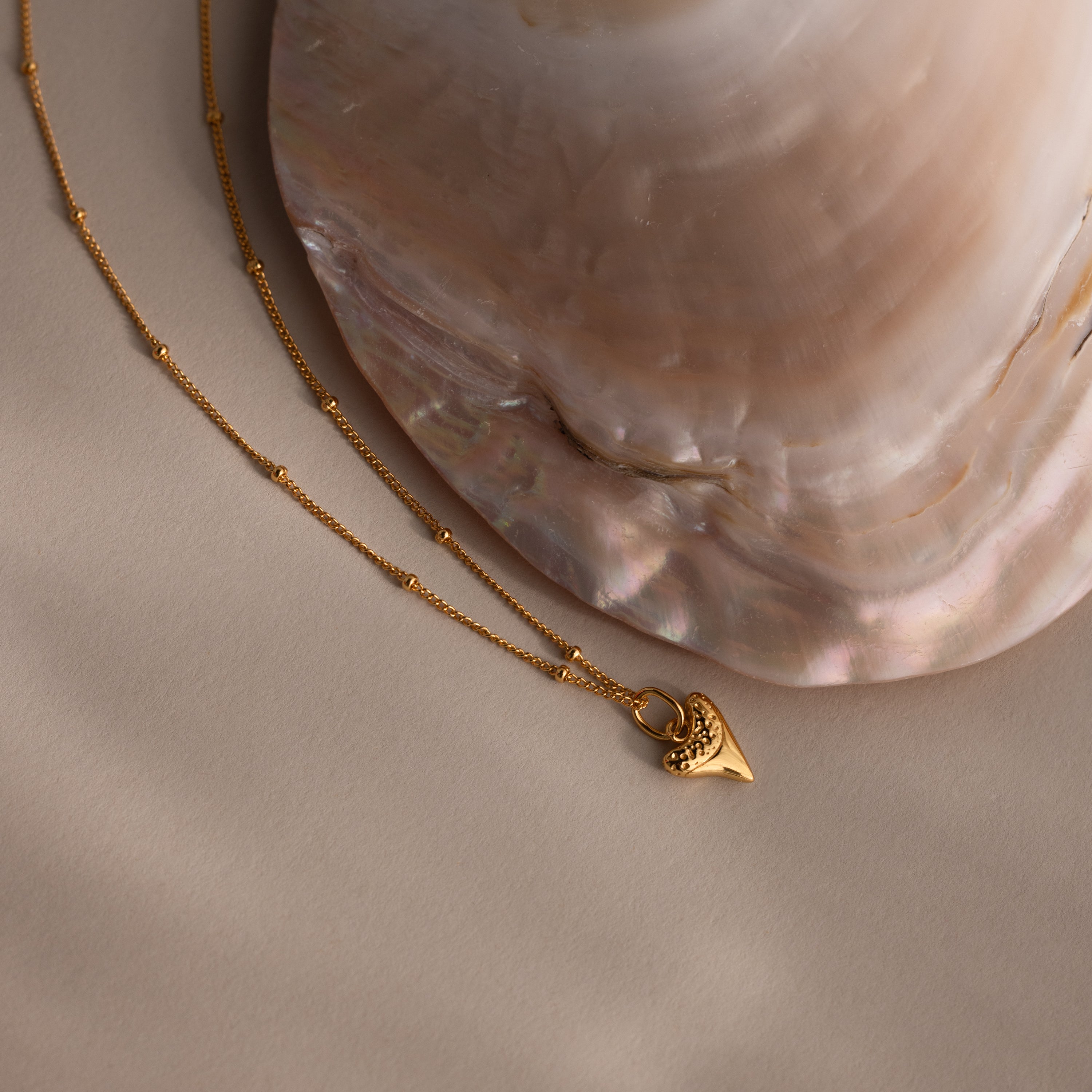 Shark Tooth Necklace in 18K Gold on a beige surface beside a large iridescent seashell—an elegant accessory ideal for any coastal jewelry collection.