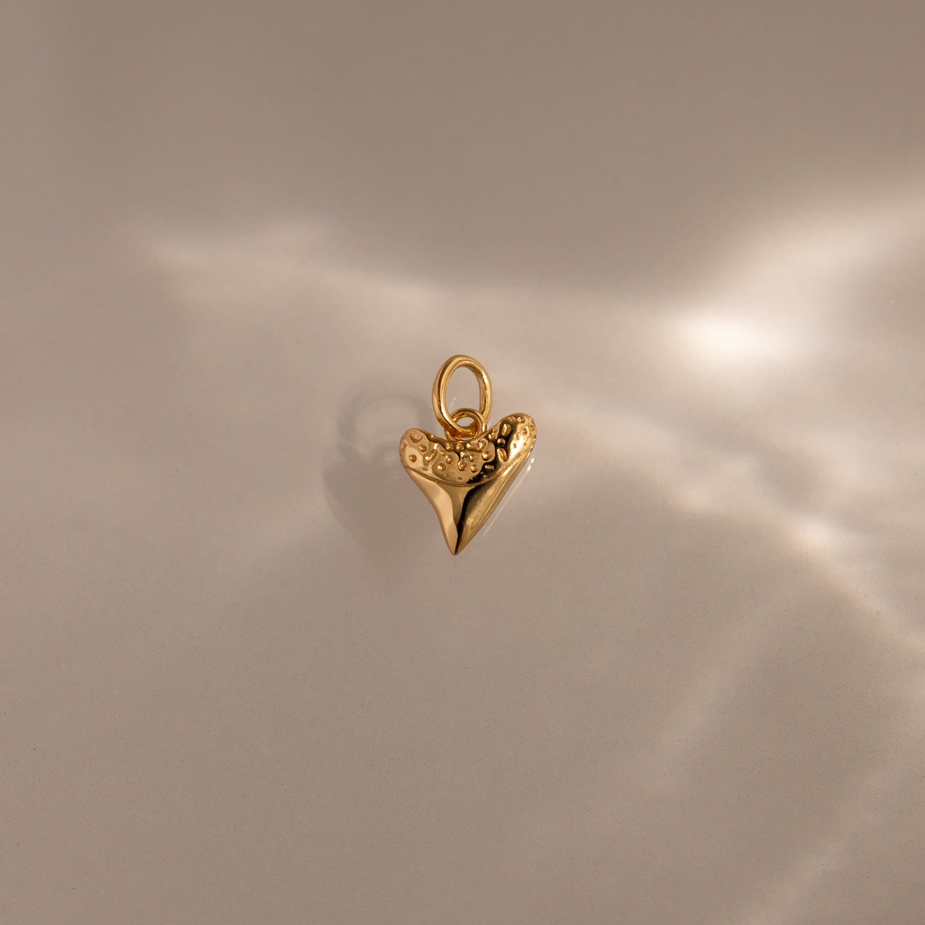 The Dainty Shark Tooth Charm in 18K Gold pairs with a textured gold heart pendant, capturing coastal elegance on a softly lit, smooth surface.