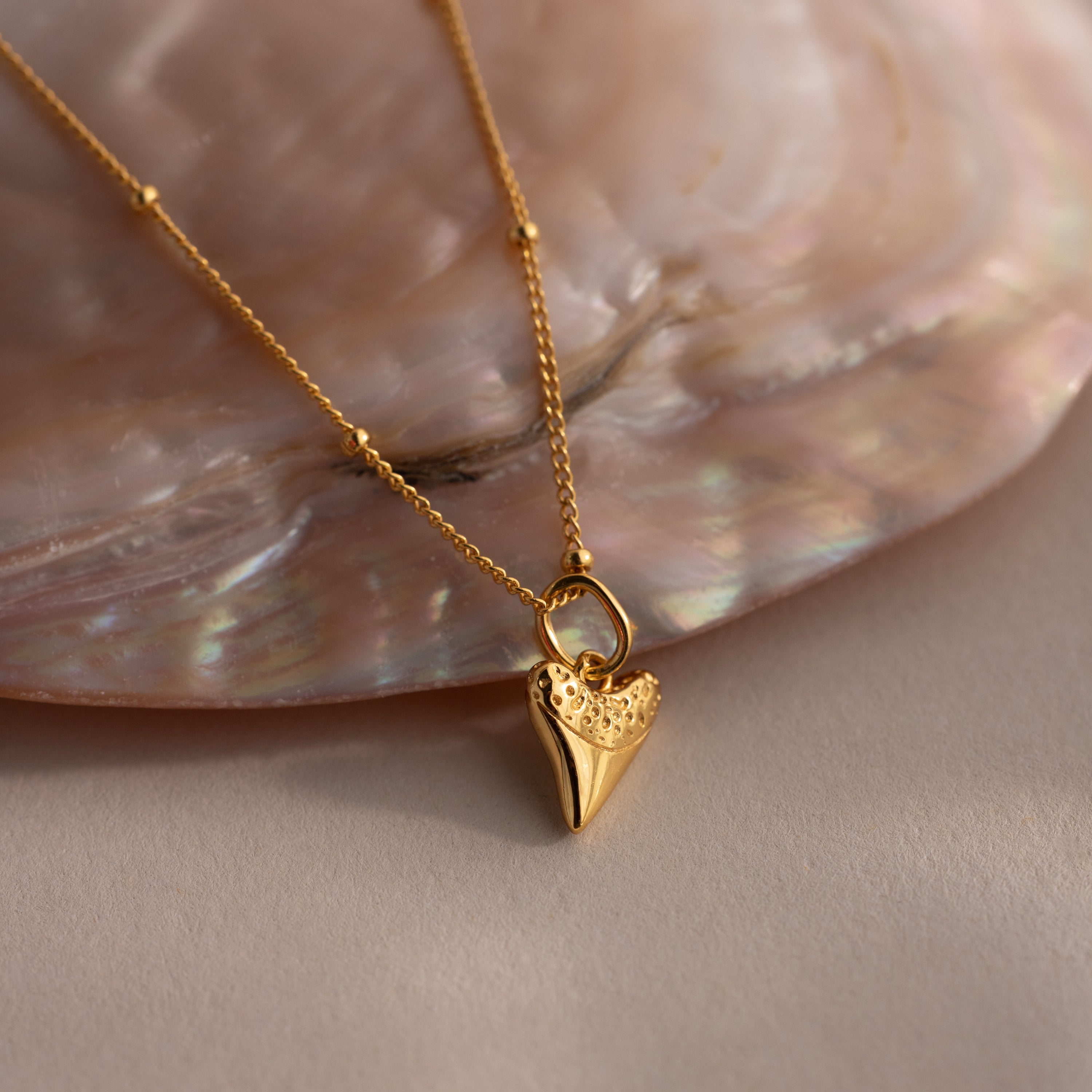 Shark Tooth Jewelry Set in 18K Gold