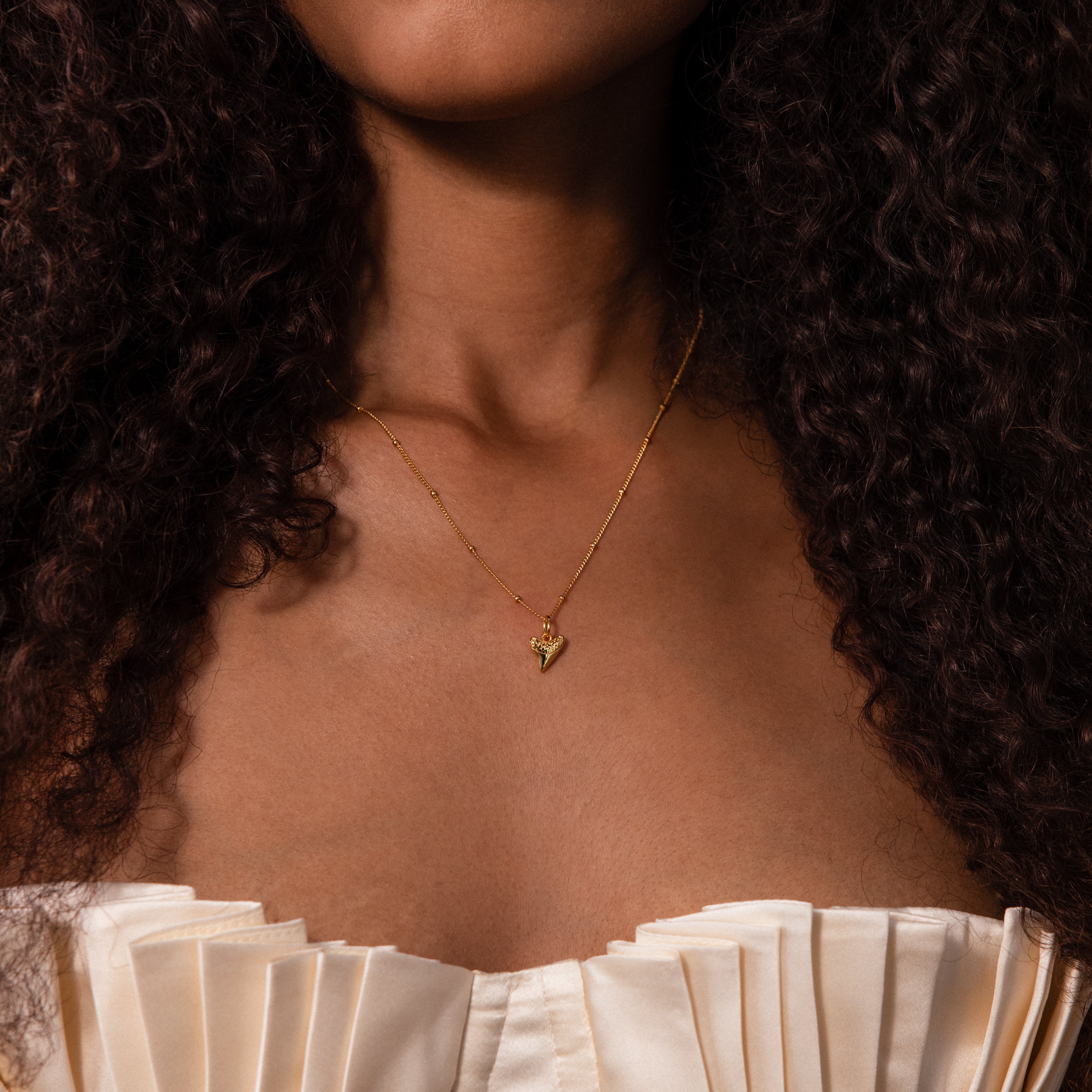 Shark Tooth Jewelry Set in 18K Gold