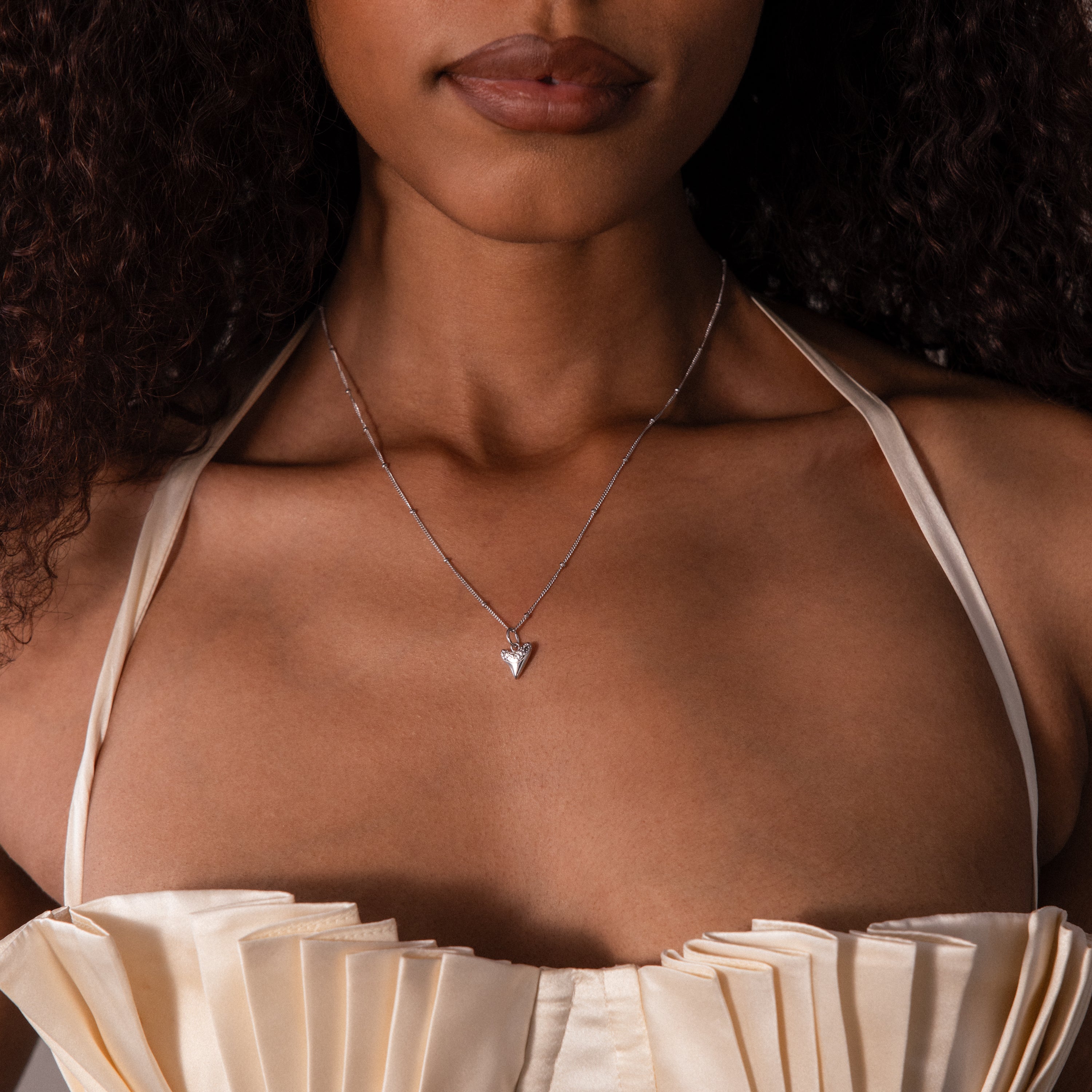 Shark Tooth Jewelry Set in Silver