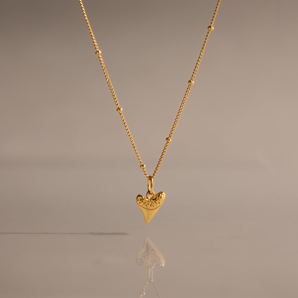 Shark Tooth Necklace in 18K Gold, perfect for coastal jewelry lovers, displayed on a neutral background with its reflection below.
