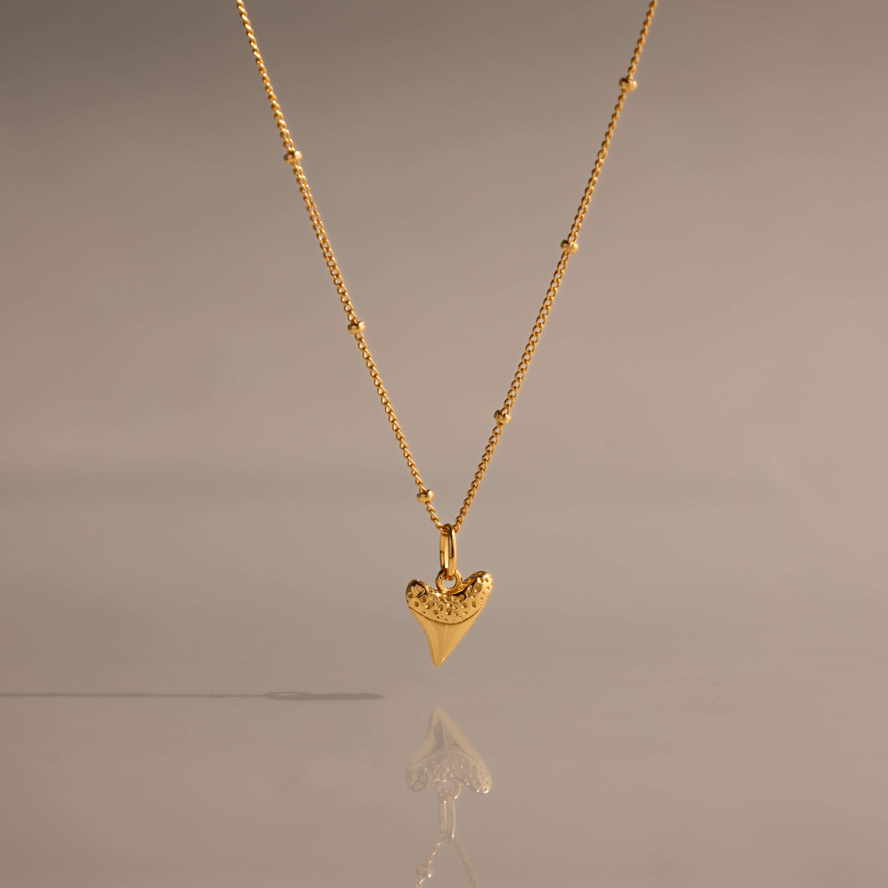 Shark Tooth Necklace in 18K Gold, perfect for coastal jewelry lovers, displayed on a neutral background with its reflection below.