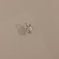The Diamond Turtle Charm in Silver features a small turtle design with a loop, casting a shadow on beige—ideal for fans of ocean-inspired jewelry.