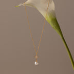 The North Star Pearl Necklace, featuring a gold chain with a pearl and star pendant, is displayed hanging from a white calla lily on a beige background.