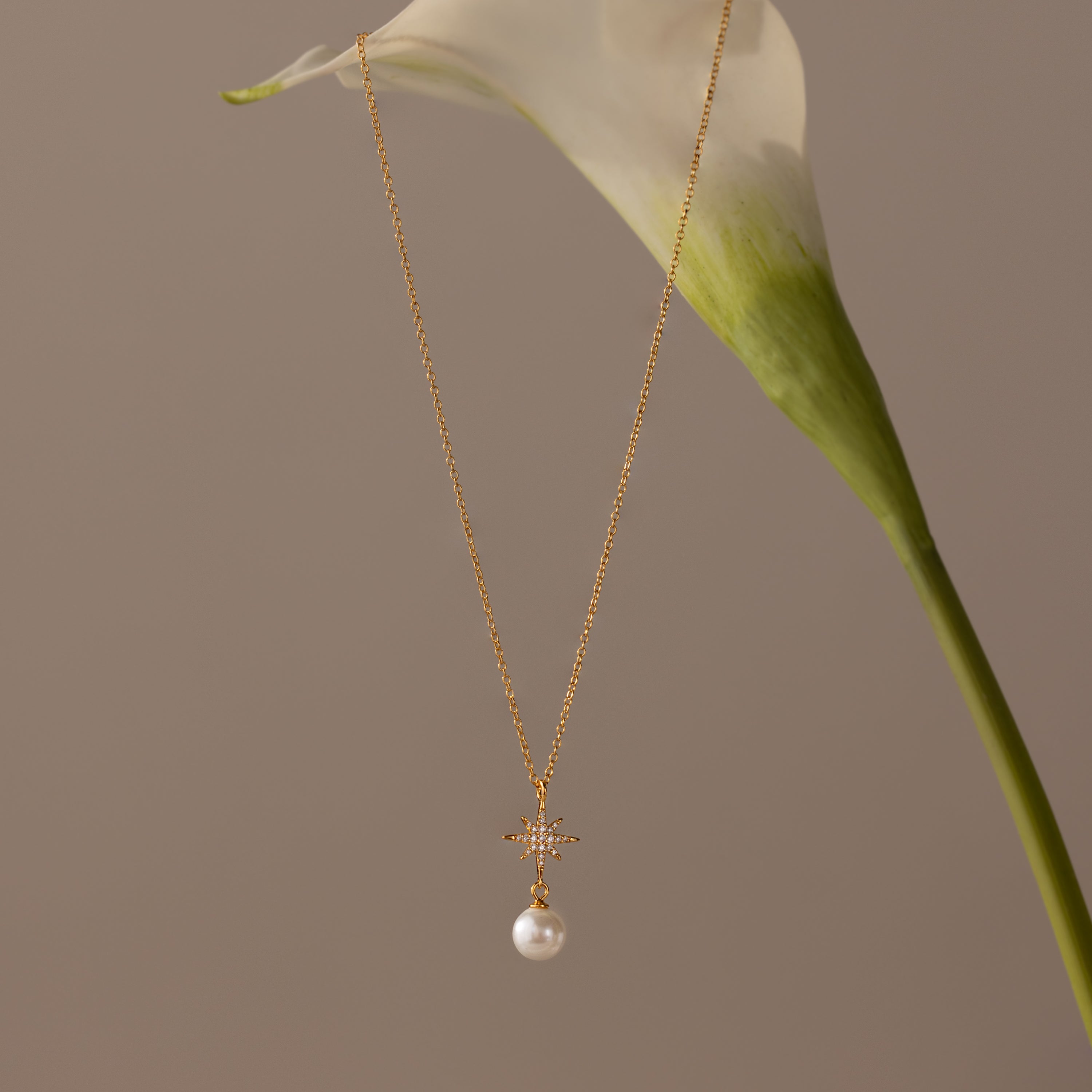 The North Star Pearl Necklace, featuring a gold chain with a pearl and star pendant, is displayed hanging from a white calla lily on a beige background.