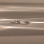 Close up flatlay image of our Diamond Leaf Hoops in Silver