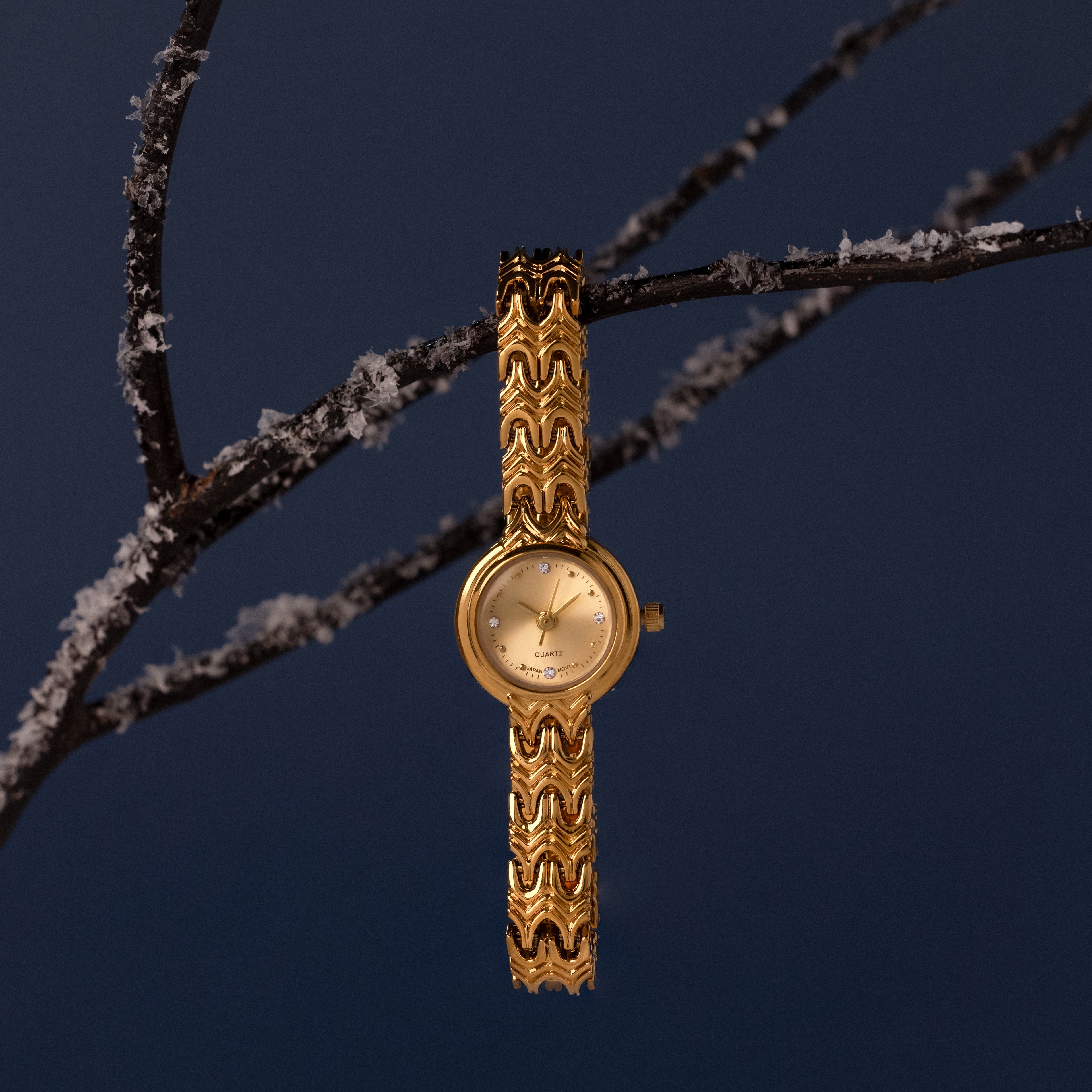 Flatlay image of our Wavy Link Timepiece watch on a branch against a blue background