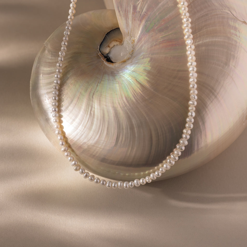 The Venus Pearl Necklace, a timeless jewelry piece, is displayed draped over an iridescent seashell on a light beige surface.