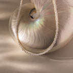 The Venus Pearl Necklace, a timeless jewelry piece, is displayed draped over an iridescent seashell on a light beige surface.
