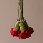 Two red carnations hang upside down with the Dainty Ribbed Garnet Ring encircling their stems, set against a plain background.