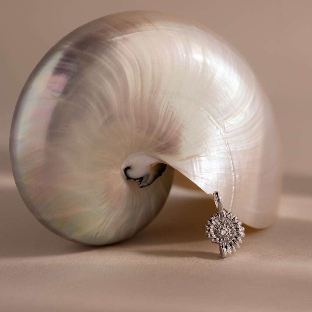 Silver shell-inspired charm pendant with gemstone accents, displayed leaning against a large iridescent seashell on a neutral background.