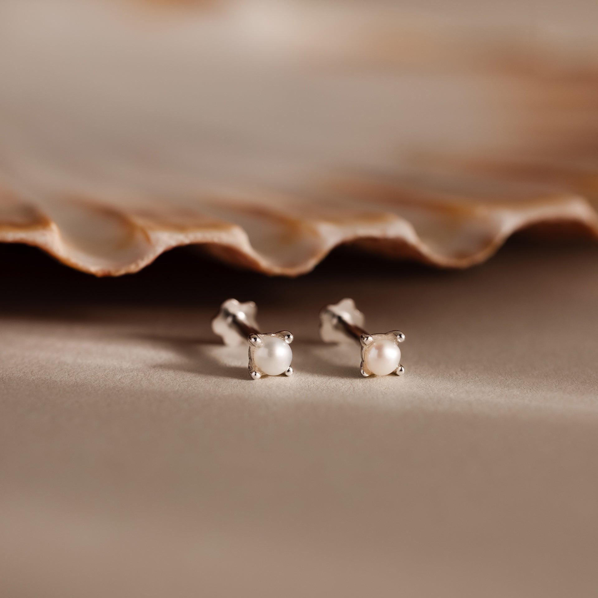 The Baby Venus Flatback Studs in Silver, two petite pearl earrings with silver backing, are displayed beside a seashell on a beige surface.