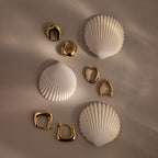 Flatlay of assorted gold sculptural hoop earrings arranged with white seashells on a soft beige background.
