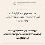 Font chart showcasing two featured fonts—one simple print, one elegant script—perfect for choosing your style when personalizing the Newsletter Pearl Initial Necklace in Sterling Silver.