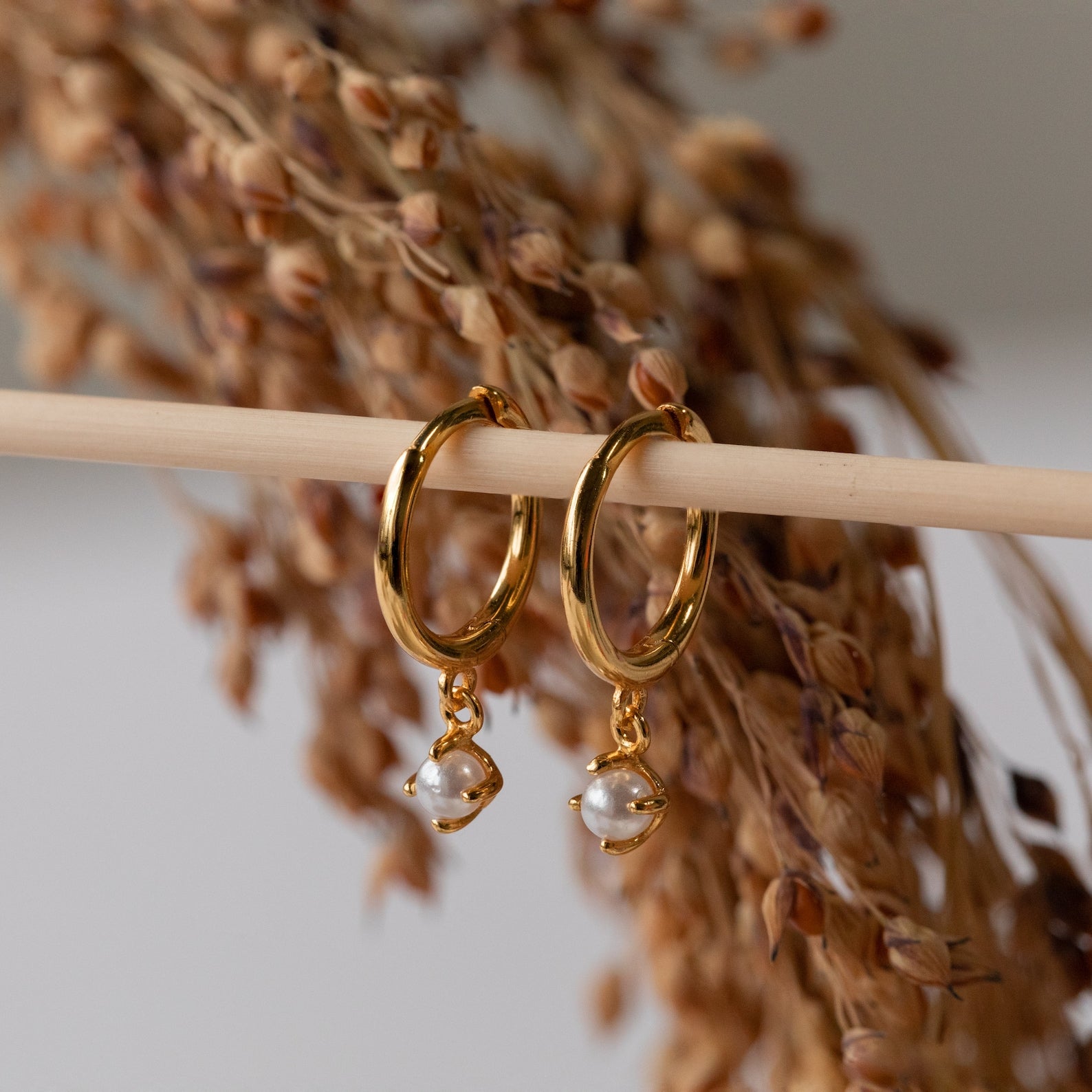 The Molly Pearl Huggies showcase elegant gold pearl drop hoops, with charming pearls delicately dangling on a wooden rod, complemented by dried plants in the background.