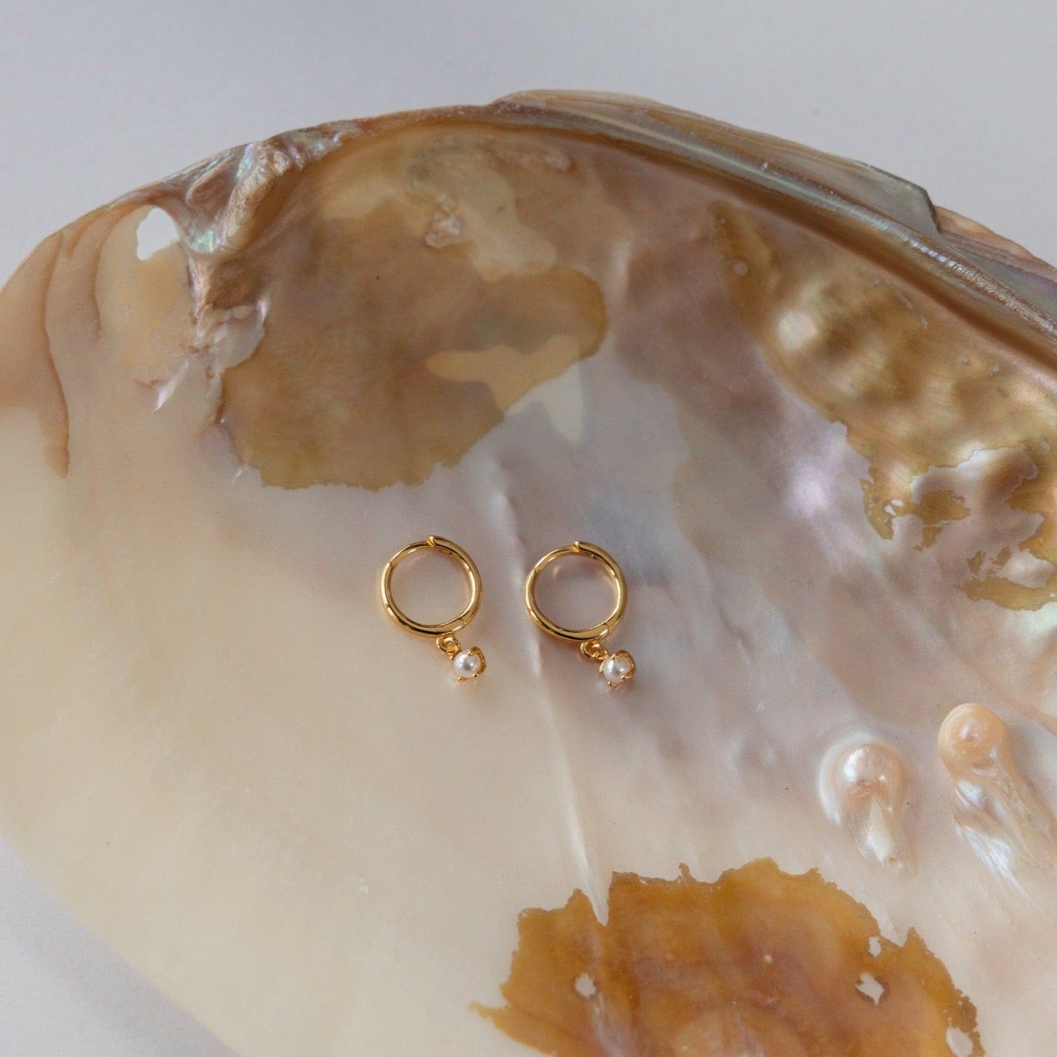 The Molly Pearl Huggies in 18K Gold, featuring delicate pearl charms, are displayed on a large, iridescent seashell.