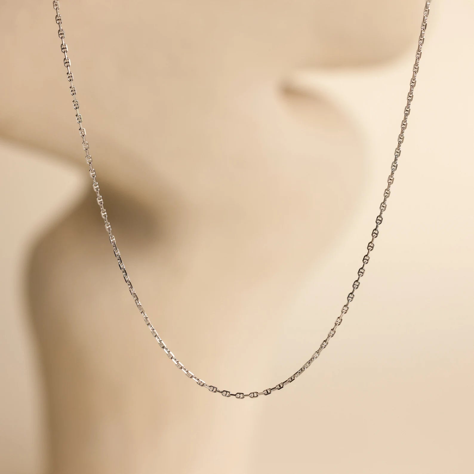 The Skinny Mariner Chain Necklace shines against a blurred, neutral-toned background—an elegant choice for everyday wear.