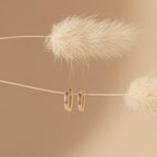 The Editor Huggies in 18K Gold are displayed on a thin, neutral string between two fluffy dried plants, set against a beige background.