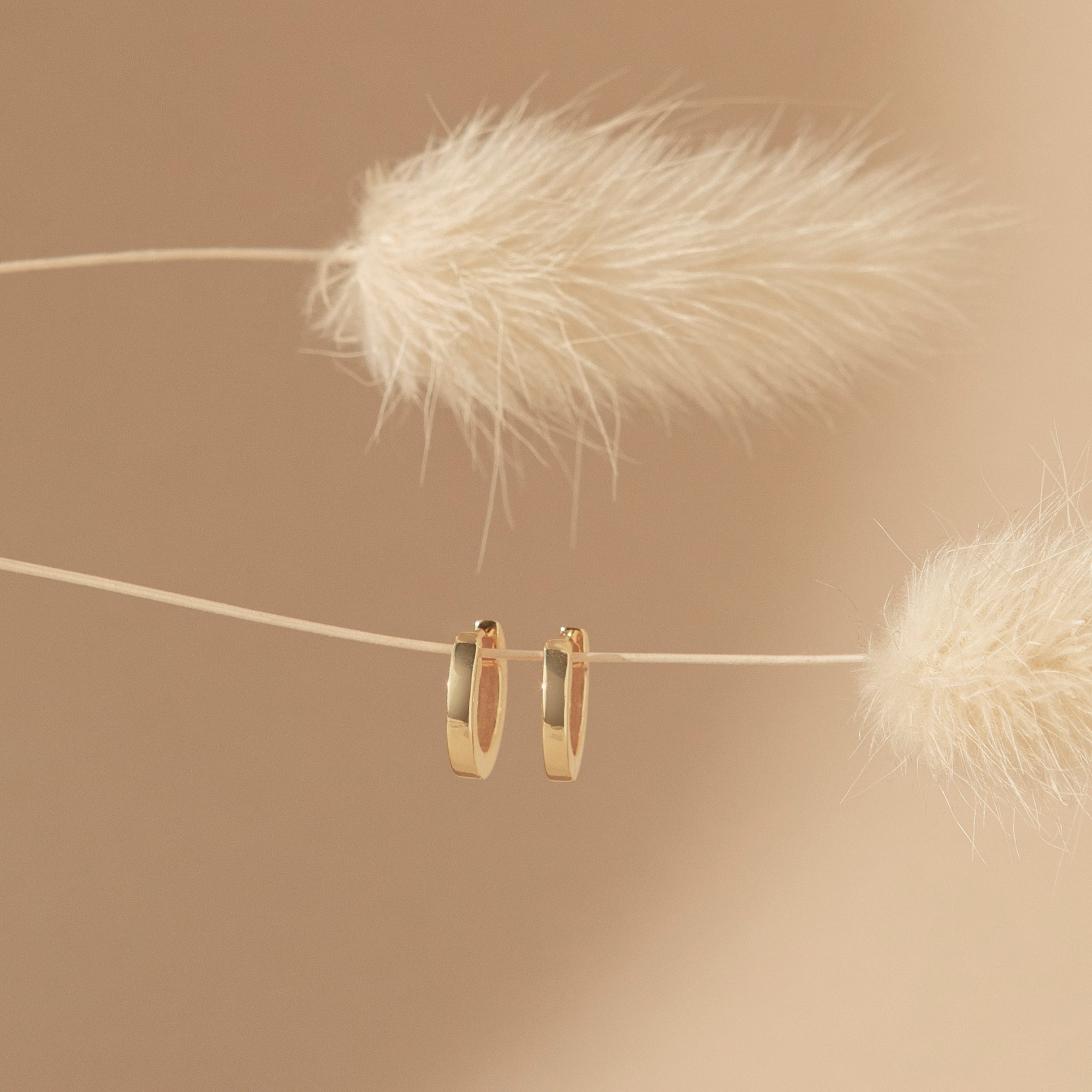 The Editor Huggies in Sterling Silver hang delicately on a slim string, set against soft beige pampas grass for a minimal, refined aesthetic.