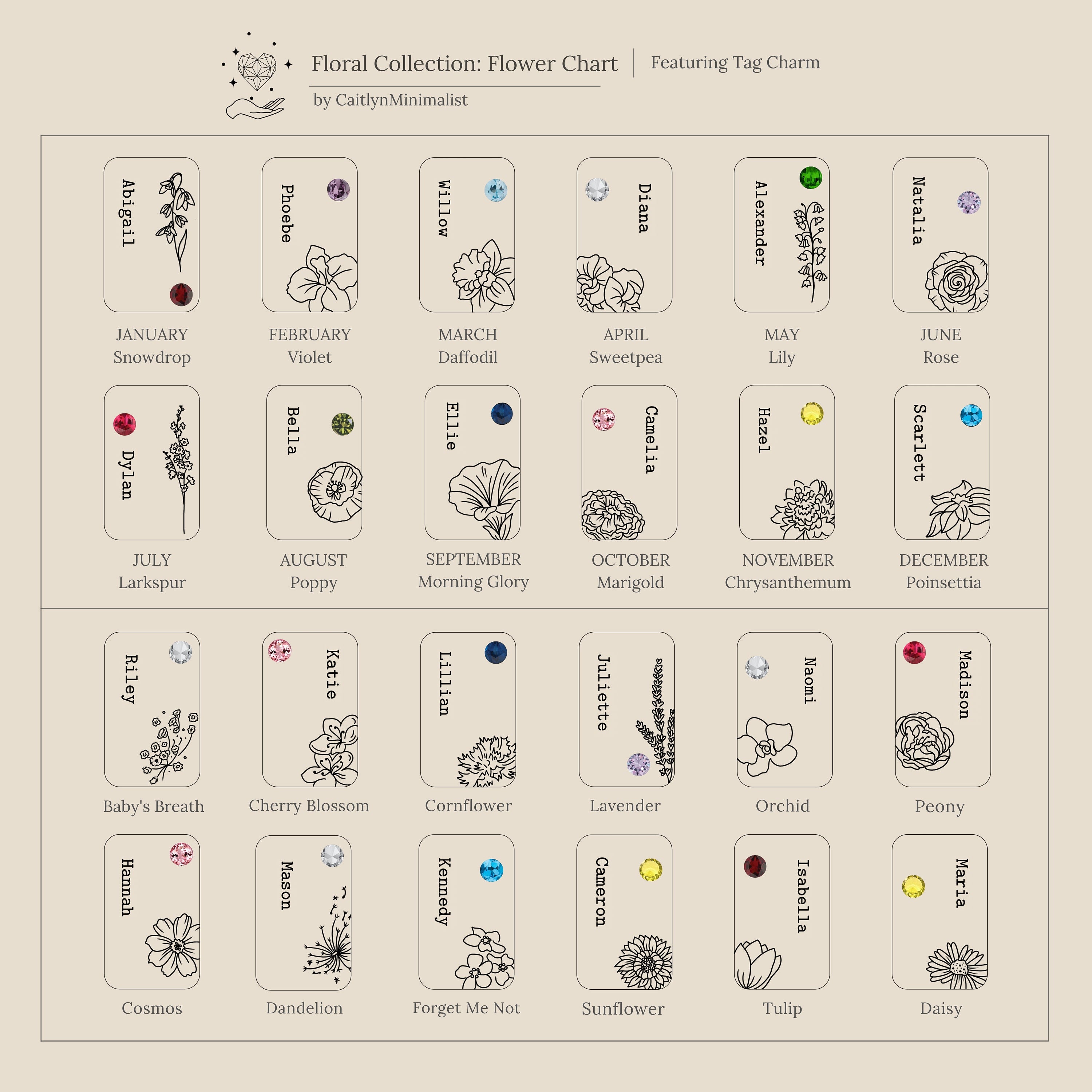 A chart of monthly birth flowers with illustrations, names, and colored gem tags on a beige background—perfect for inspiring your next Floral Name Birthstone Necklace.